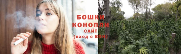 шишки Нея