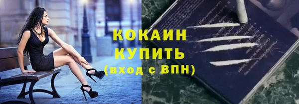 сатива Абинск