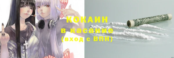 сатива Абинск