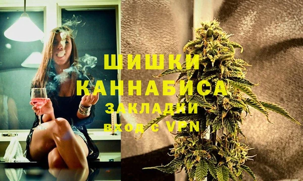 шишки Нея
