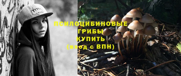 СК Абаза
