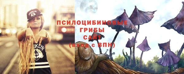 сатива Абинск