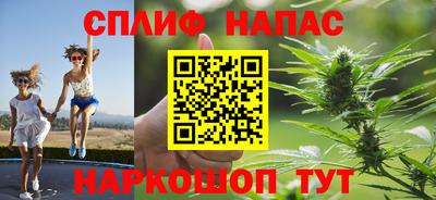 хмурый Тула