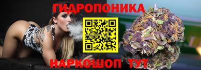 хмурый Тула