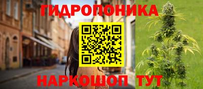 хмурый Тула